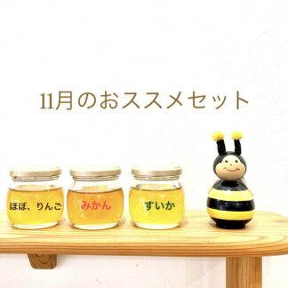 【11月のおすすめ蜂蜜セット】くだもの編